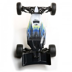 LOSI Mini-B 1/16 Brushed Buggy 2WD RTR