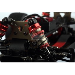 copy of LC RACING EMB-1 BUGGY RTR