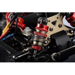 copy of LC RACING EMB-1 BUGGY RTR
