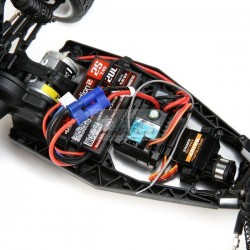 LOSI Mini-B 1/16 Brushed Buggy 2WD RTR