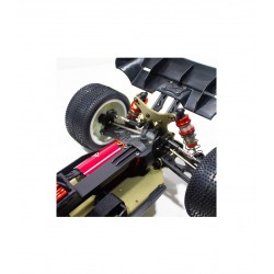 copy of LC RACING EMB-1 BUGGY RTR