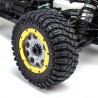 LOSI 1/5 DBXL 2.0 Gas Buggy 4WD RTR - MAGNAFLOW