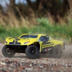 LOSI 22S MagnaFlow 1/10 SCT 2WD Brushed RTR