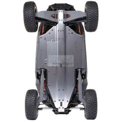 LOSI RZR Rey 1/10 Brushless 4WD RTR Fox