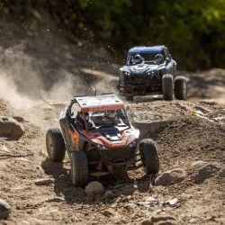 copy of LOSI RZR Rey 1/10 Brushless 4WD RTR Fox