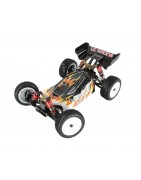 LC BUGGY EMB-1